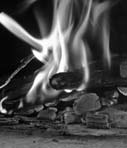 Wood fired