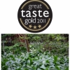 Thoughtful Bread Company scoop GOLD at Great Taste Awards